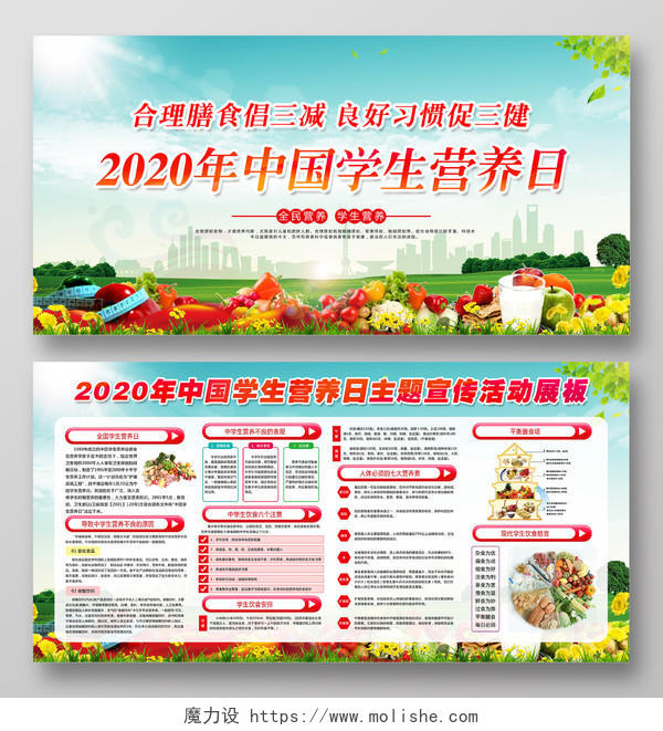 全国学生营养日2020年中国学生营养日大气清新主题宣传活动展板宣传栏